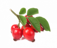 Rosehip Powder, Organic Rosehip Powder, Organic