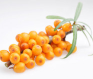 Sea Buckthorn Juice Powder, Organic Sea Buckthorn Juice Powder, Organic