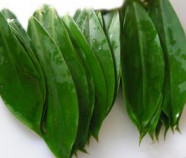 Organic Herb THEBU in Bulk from Sri Lanka