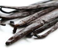 Premium Quality Organic Ceylon Vanilla from Sri Lanka