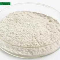 Organic Hemp Protein Powder