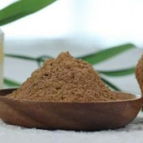 Organic Lion&#039;s mane Powder | Hericium Erinaceus Extract Powder 1:1