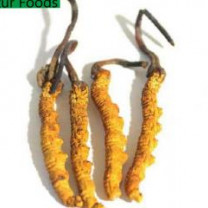 Organic Cordyceps Powder