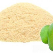 Organic Mango Powder - Premium Fruit Powder in Bulk from Ceylon