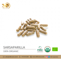 Organic Sarsaparilla Capsules in Bulk and Private Label