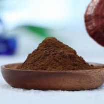 Organic Reishi Dual Extract ( 15:1) | Ganoderma Lucidum Dual Extract
