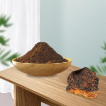 Buy Chaga Mushroom Powder | Best Organic Chaga Extract  Powder 1:1