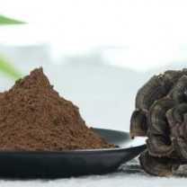 Organic Turkey tail powder | Coriolus Versicolor Extract Powder 1:1