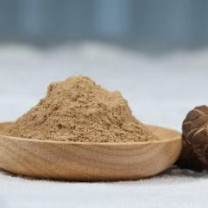 Organic Shiitake powder | Lentinus Edodes Extract Powder 1:1