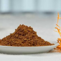 Organic Cordyceps militaris dual Extract 8:1