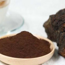 Organic Chaga mushroom Extract (8:1) | Inonotus Obliquus extract