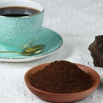 Organic Chaga (Inonotus obliquus) Dual Extract 4:1