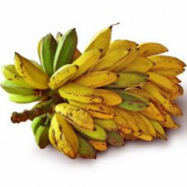 Banana Powder, Organic