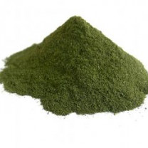 Barley Grass Powder Organic