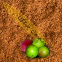 Organic Camu Camu C++ Powder (or capsules)