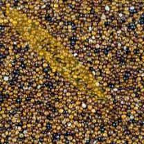 Andina Organic Canihua Grains