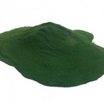 Chlorella Powder Organic