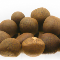 Green Tea Seed Oil