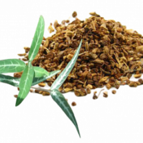 Organic Herb HEMIDESMUS in Bulk from Sri Lanka SARSAPARILLA