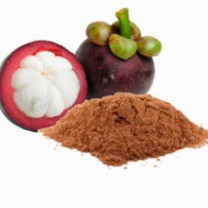 Organic Mangosteen Powder - Premium Fruit Powder in Bulk from Ceylon