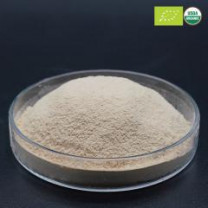 Bulk Organic Yeast Beta-Glucan Powder