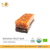 Organic Banana Fruit Bar