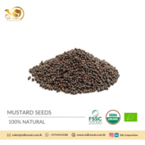 Premium Grade Herb - Organic Natural Brown Mustard Seeds at Wholesale Price