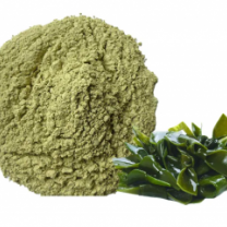 Organic kelp powder Seaweed Extract