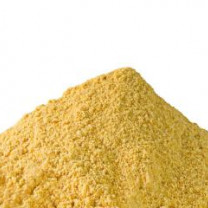 Mango Organic Premium Powder - REVdried (Beyond Freeze dried)