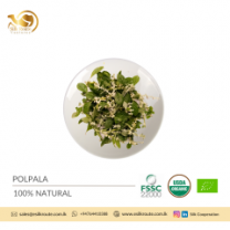 Premium Quality Polpala / Aerva Lanata / Mountain Knotgrass