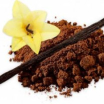 Premium Quality Organic Ceylon Vanilla Powder from Sri Lanka