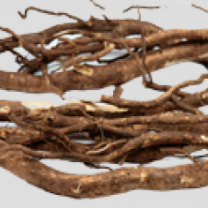 Siberian Ginseng Powder Organic