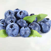 Blueberry Juice Powder Organic
