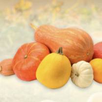 Pumpkin Powder Organic