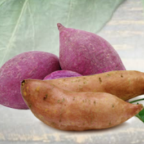 Sweet Potato Powder Organic