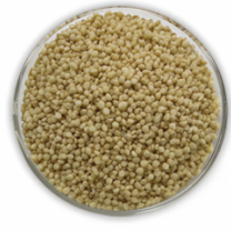 Quinoa Crisp (organic)