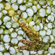 Andina Sprouted Quinoa Grain, Organic