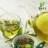 Organic Green Tea