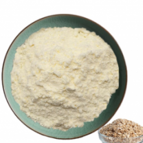 Premium Quality Oat Milk powder from Sri Lanka