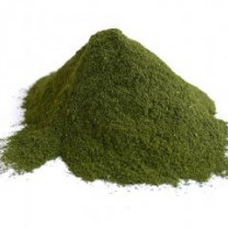 Wheat Grass Powder Organic