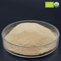 Organic Yeast Powder Organic Yeast Extract