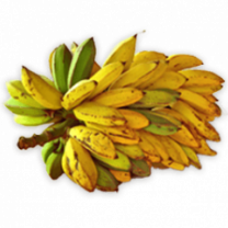 Banana Freeze Dried Powder, Organic