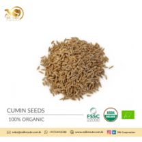 Premium Quality Cumin Seeds from Sri Lanka