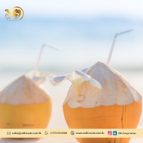 Best Quality Natural King Coconut Water in Bulk