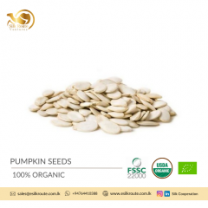 Premium Quality Pumpkin Seeds from Sri Lanka