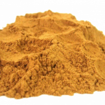 Premium Quality Organic Ceylon Cinnamon Powder from Sri Lanka