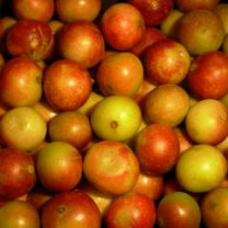 Camu Camu Powder, Organic