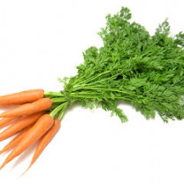 Carrot Juice Powder, Organic