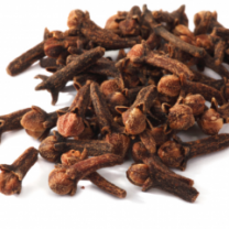 Premium quality Organic Handpicked Cloves from Sri Lanka