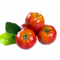 Acerola Juice Powder 12% Vit. C, Organic